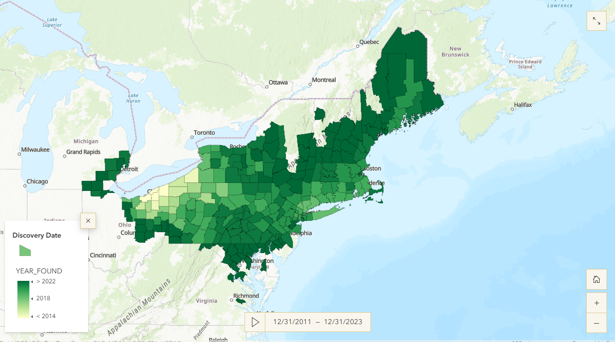 Beech Leaf Disease StoryMap